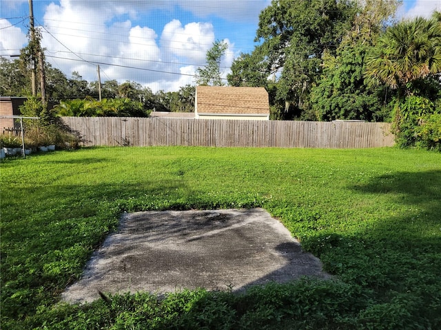 view of yard featuring a patio