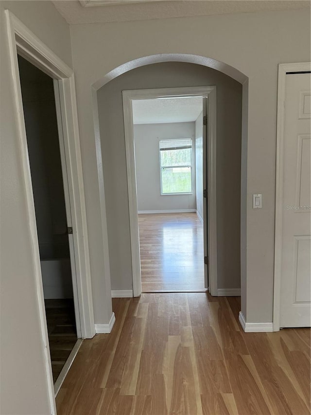 hall featuring light hardwood / wood-style floors