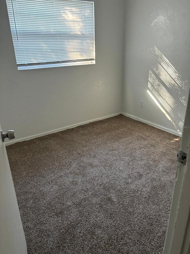 unfurnished room featuring carpet floors