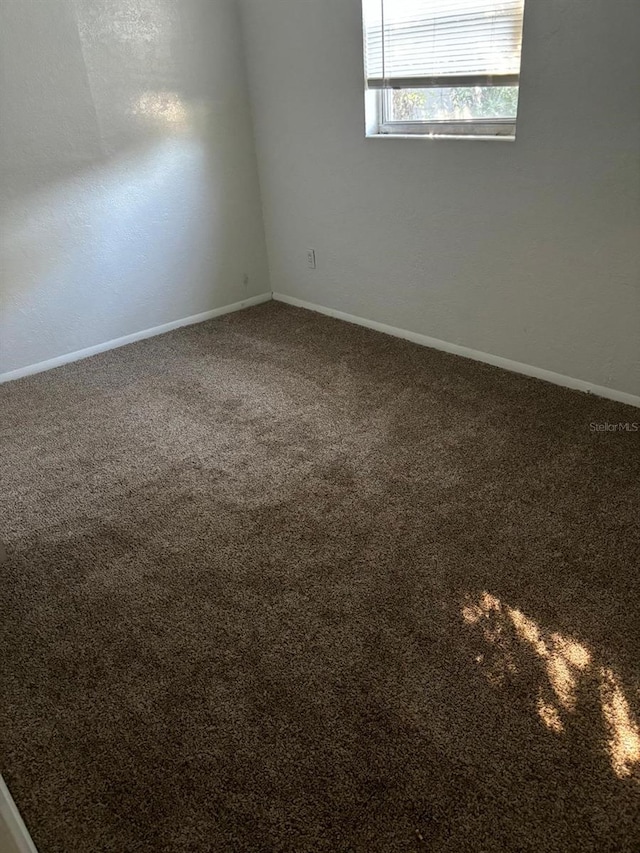 spare room with carpet flooring