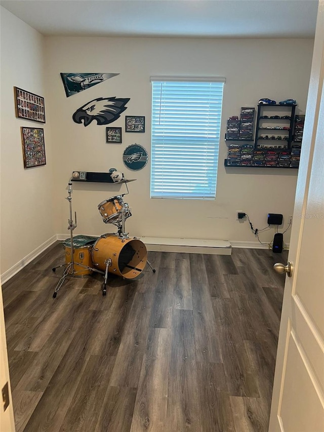 misc room featuring dark hardwood / wood-style floors