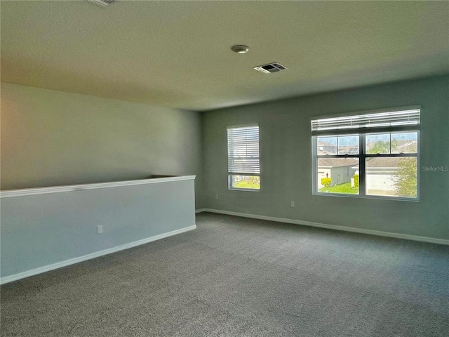 spare room with carpet, plenty of natural light, and a textured ceiling