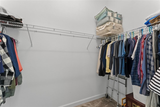 spacious closet featuring carpet floors