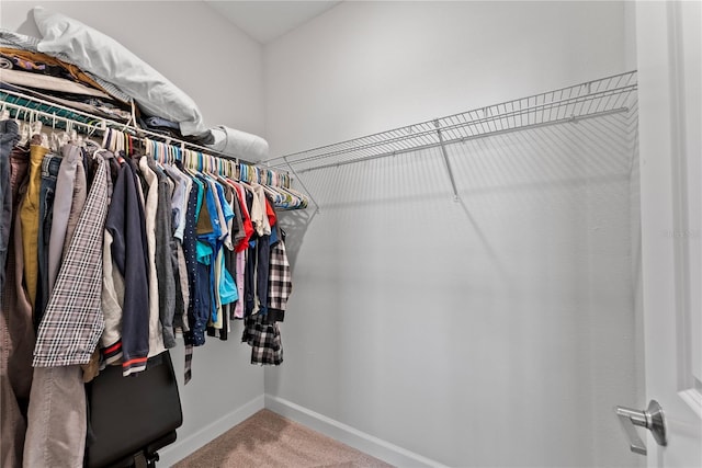 spacious closet with carpet