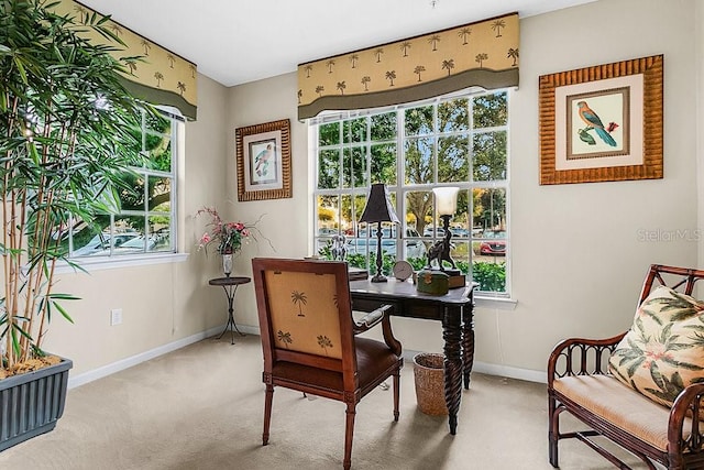 interior space with carpet flooring and a wealth of natural light