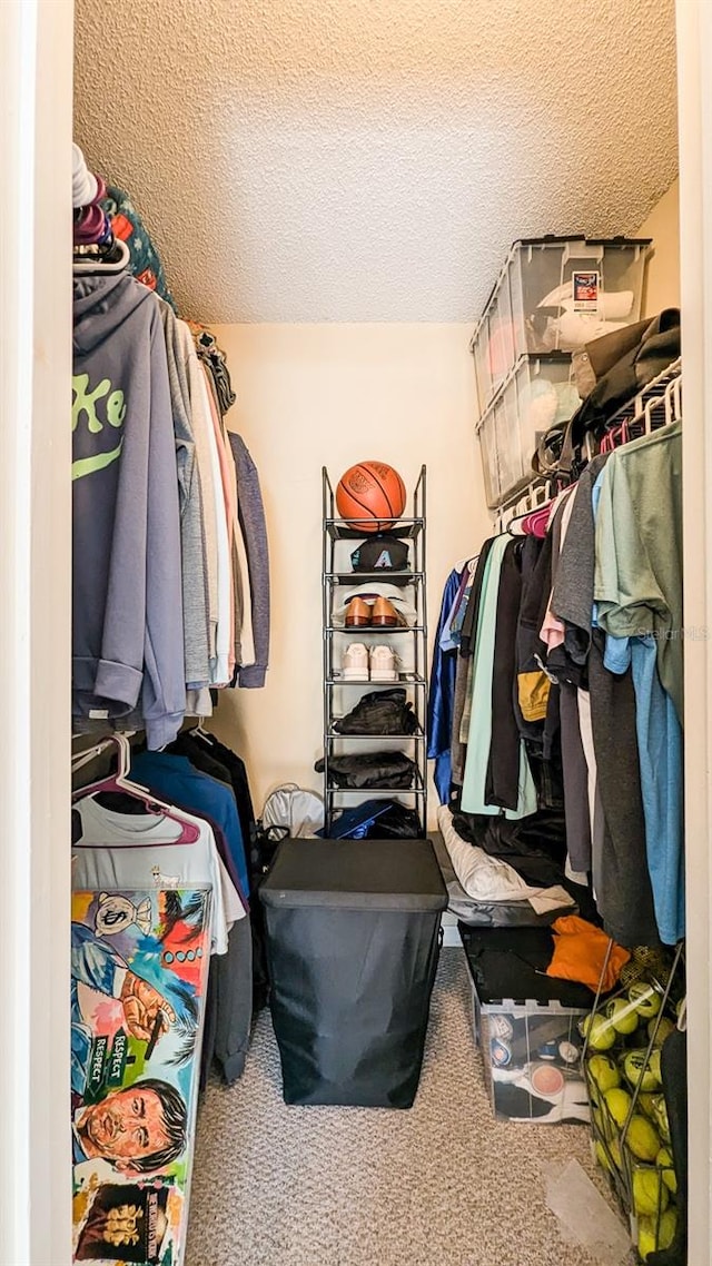 spacious closet with carpet flooring