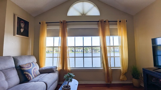 living room with hardwood / wood-style floors, plenty of natural light, and lofted ceiling