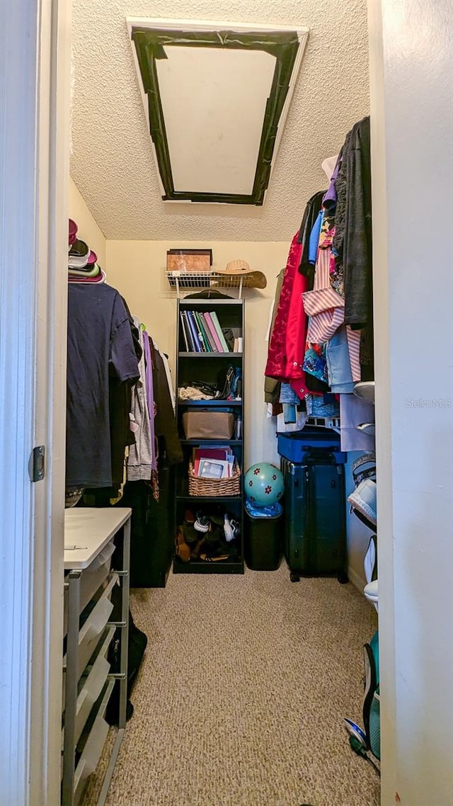 spacious closet featuring carpet flooring