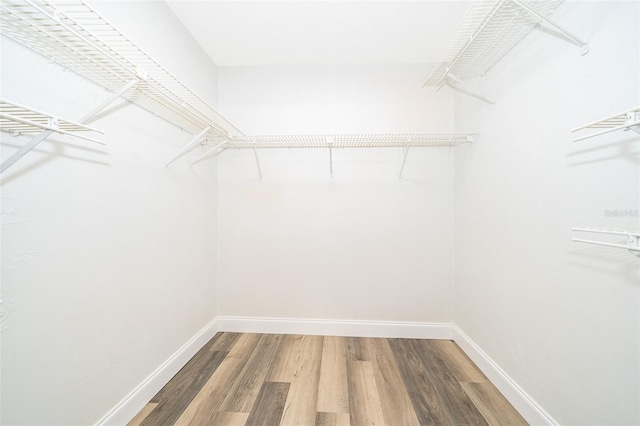 walk in closet featuring wood-type flooring