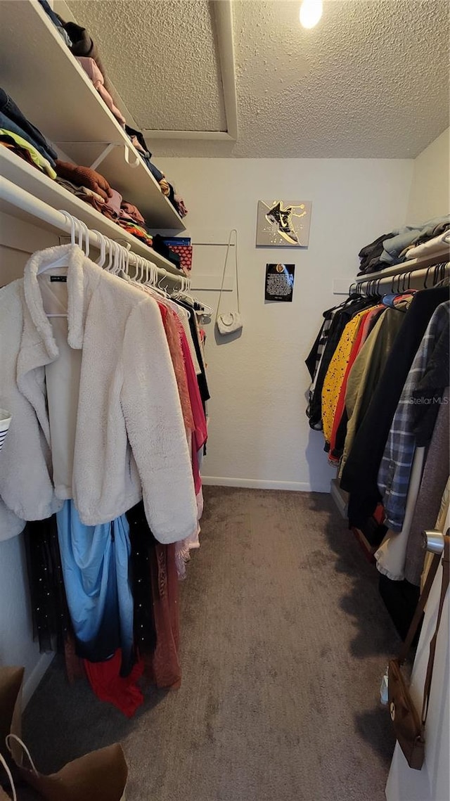 spacious closet with dark colored carpet