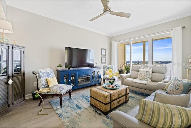 living room featuring ceiling fan, light wood-type flooring, and ornamental molding