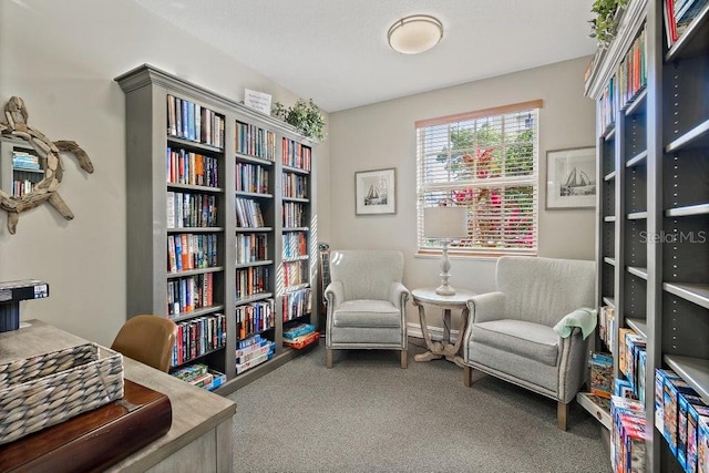 sitting room with carpet