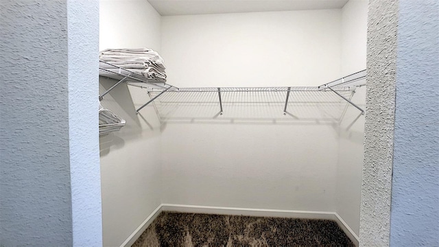 walk in closet featuring carpet