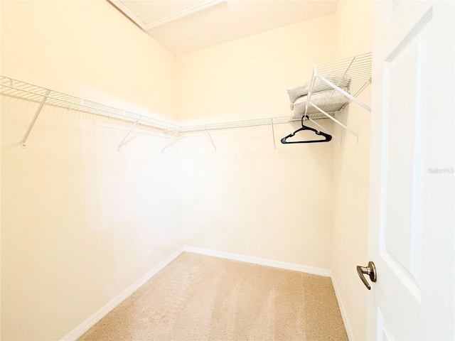 spacious closet with carpet floors