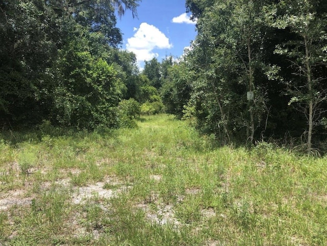 1570 S High St, Deland, FL 32720 - photo 8