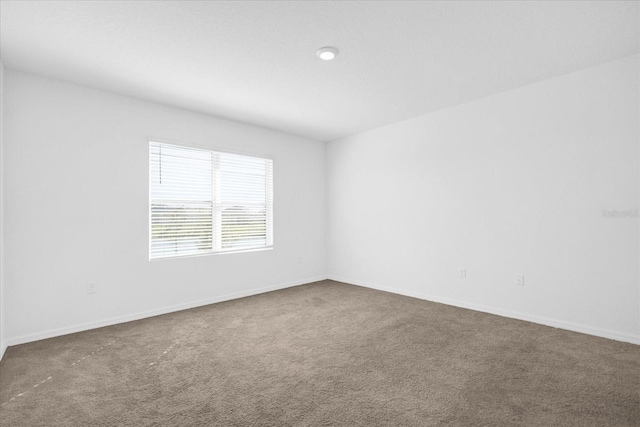 spare room featuring carpet flooring