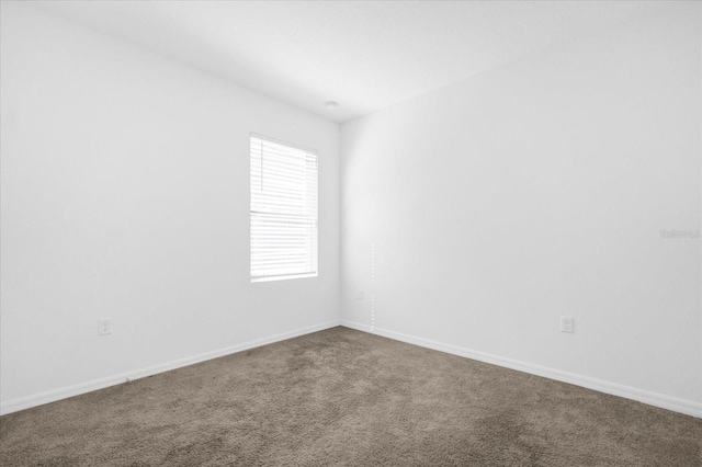 unfurnished room with carpet flooring