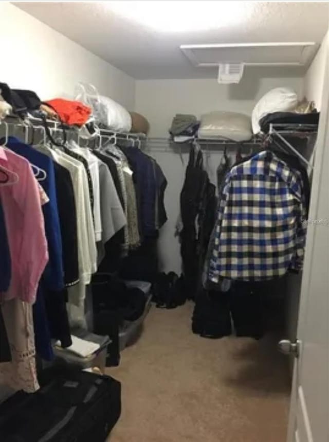 spacious closet with carpet floors