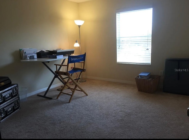 home office featuring carpet floors