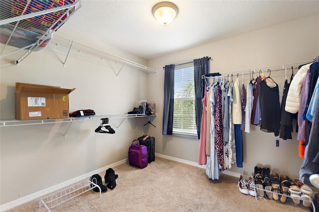 walk in closet featuring light carpet