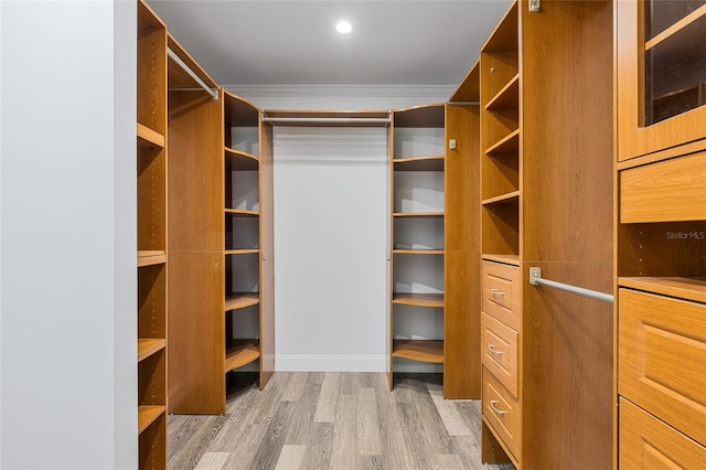 spacious closet featuring wood-type flooring