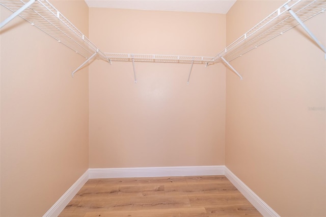 walk in closet with hardwood / wood-style flooring