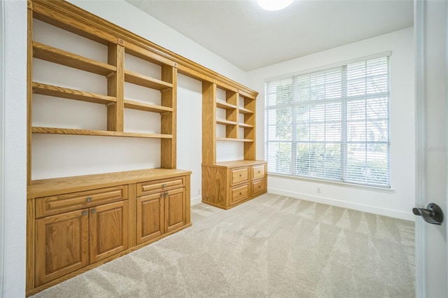 unfurnished office featuring light colored carpet