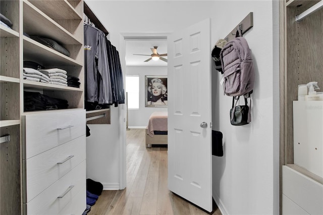 walk in closet with ceiling fan and light hardwood / wood-style flooring