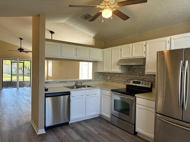 kitchen featuring white cabinetry, sink, dark wood-type flooring, lofted ceiling, and appliances with stainless steel finishes