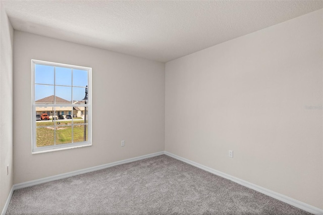 spare room with carpet and a textured ceiling