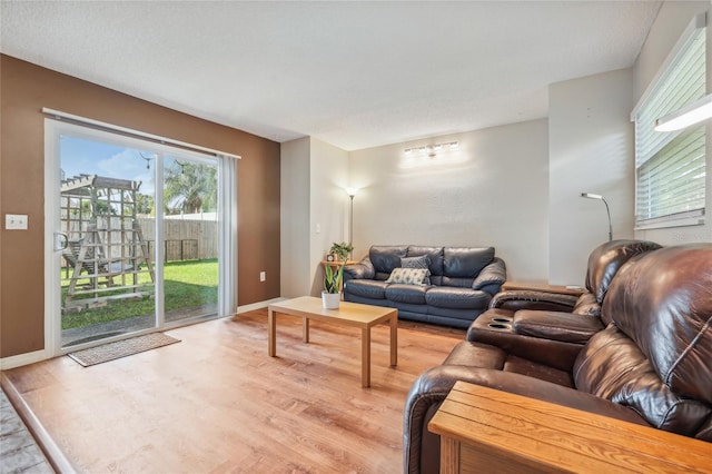 living room featuring wood-type flooring