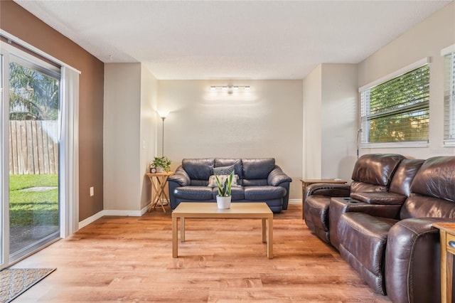 living room with a healthy amount of sunlight and light wood-type flooring