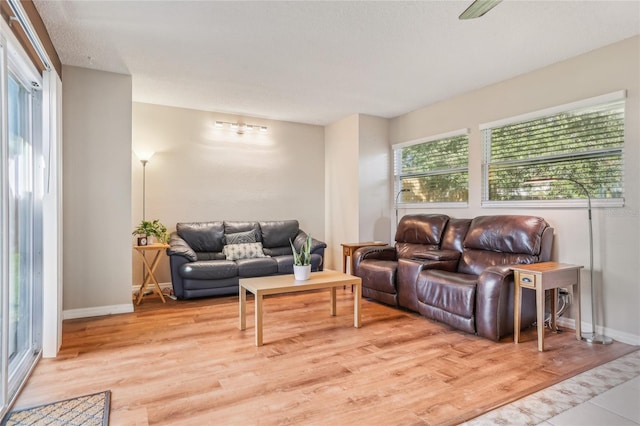 living room featuring light hardwood / wood-style floors