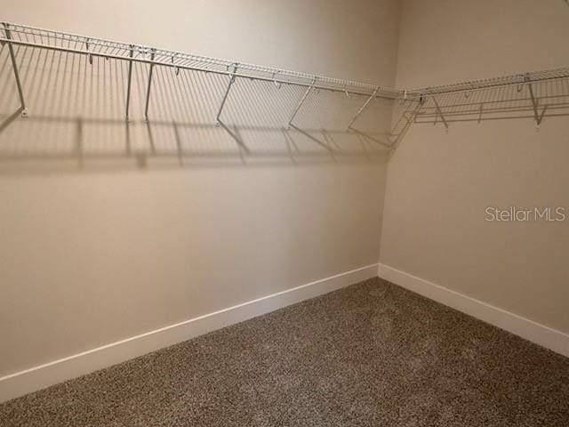 walk in closet with carpet flooring