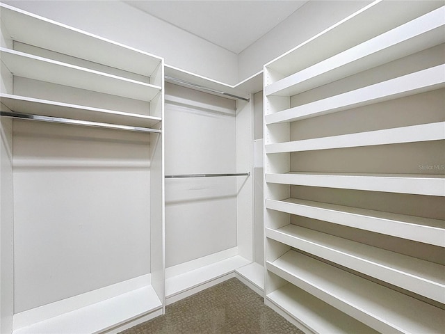 walk in closet with carpet floors