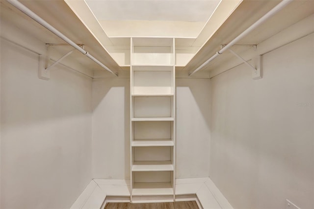 spacious closet with hardwood / wood-style flooring