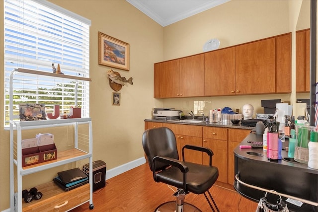 office space with light hardwood / wood-style floors, sink, and crown molding