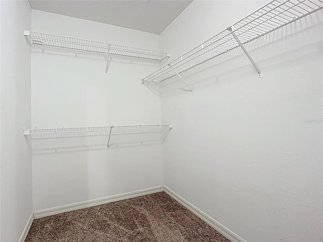 walk in closet with carpet