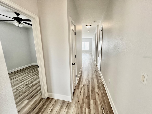 corridor featuring hardwood / wood-style floors