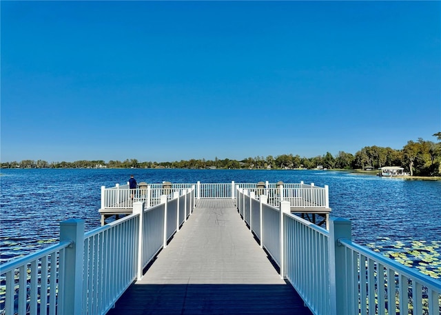 dock area with a water view