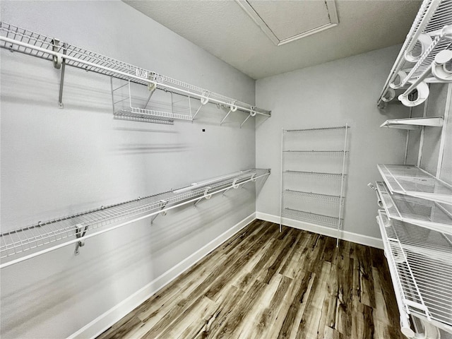 spacious closet with hardwood / wood-style floors