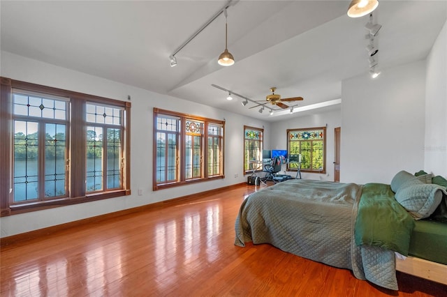 bedroom featuring ceiling fan, light hardwood / wood-style floors, multiple windows, and track lighting