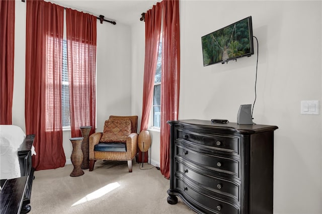 sitting room with carpet