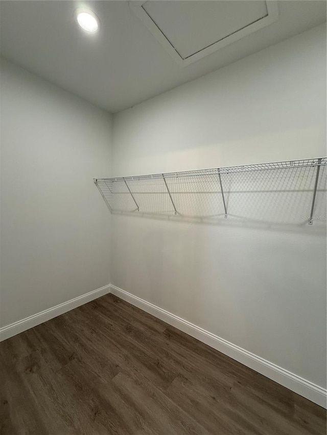 spacious closet with dark wood-type flooring