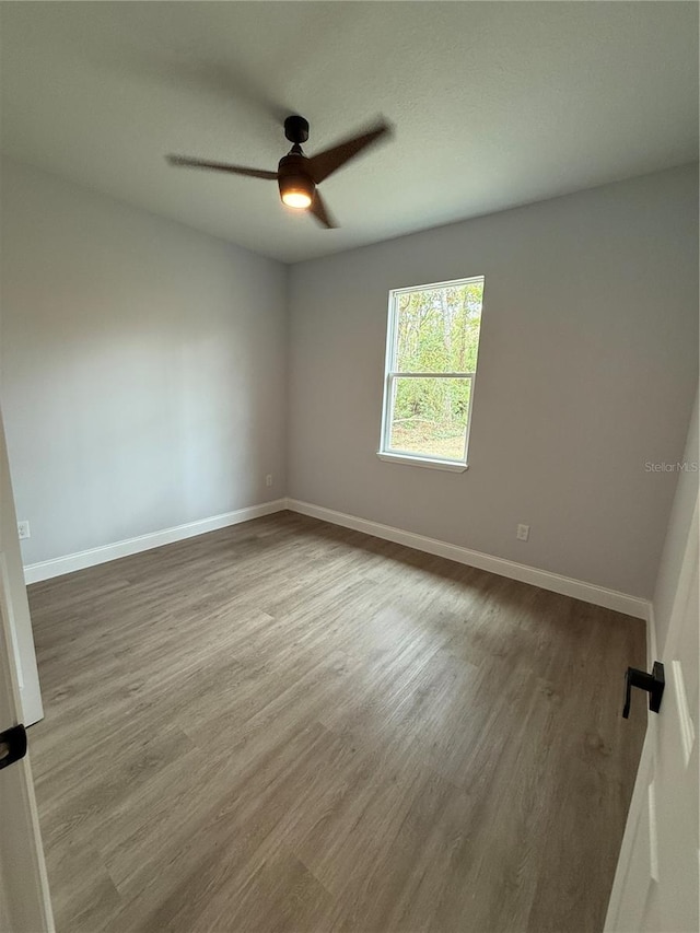 empty room with ceiling fan and wood-type flooring