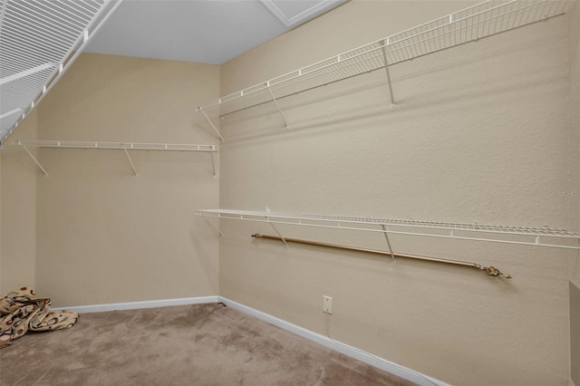 2847 Metro Sevilla Dr Unit 105, Orlando, FL 32835 - photo 17