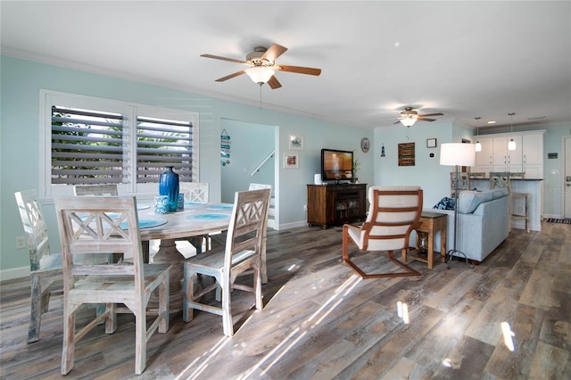 dining space with dark hardwood / wood-style floors, ceiling fan, and crown molding