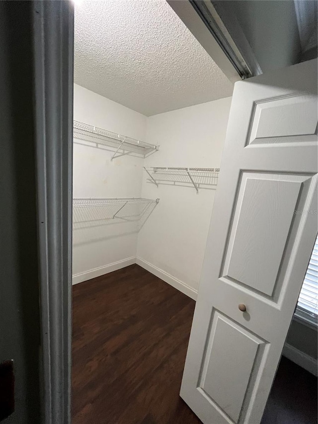 spacious closet with dark hardwood / wood-style floors