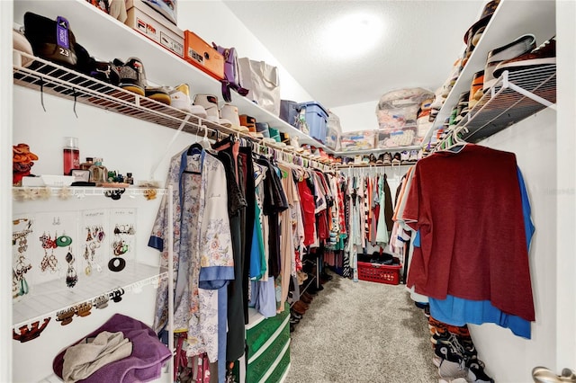 spacious closet with carpet