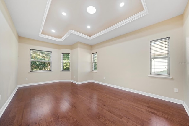 unfurnished room with hardwood / wood-style floors, a tray ceiling, and a healthy amount of sunlight